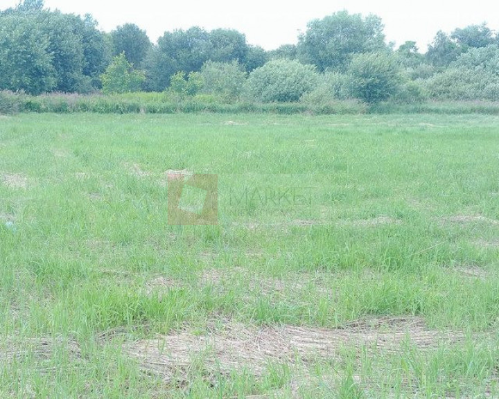 Działka Sprzedaż Trzebież