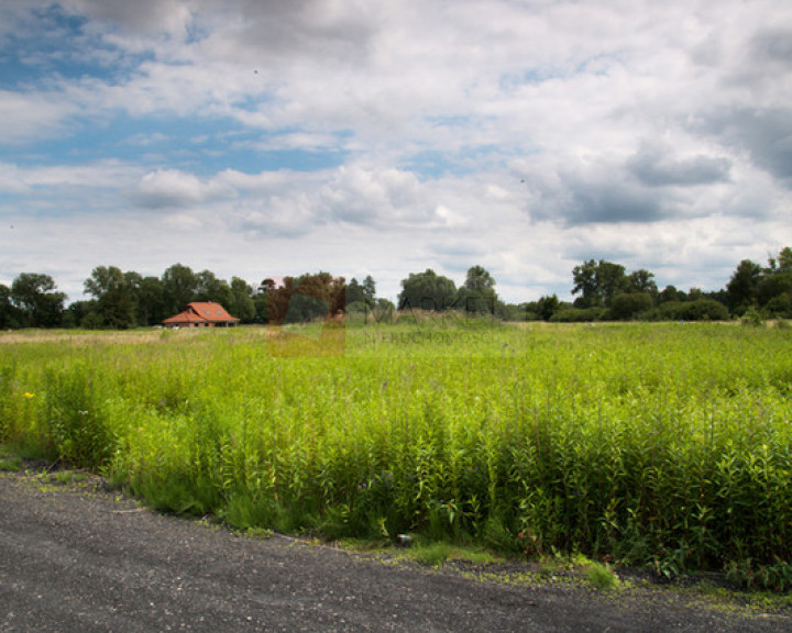 Działka Sprzedaż Zieleniewo