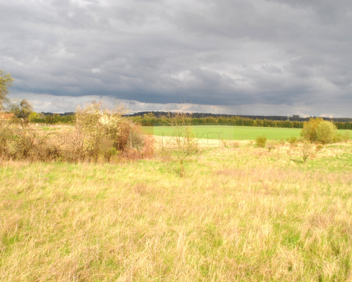 Działka Sprzedaż Binowo