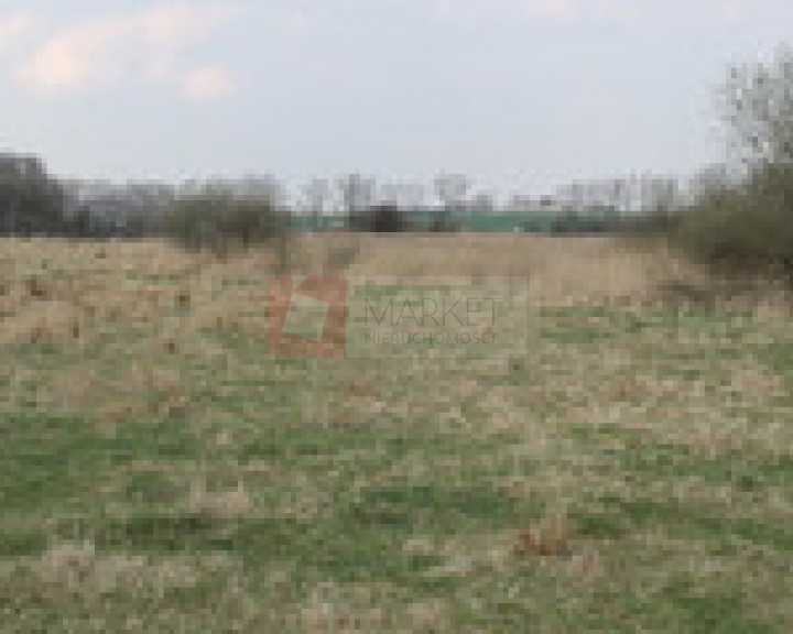 Działka Sprzedaż Barnisław