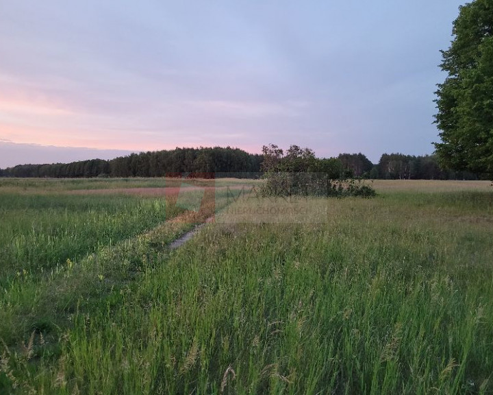 Działka Sprzedaż Lubczyna