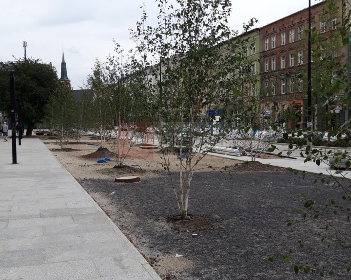 Lokal Wynajem Szczecin Centrum al. Wojska Polskiego