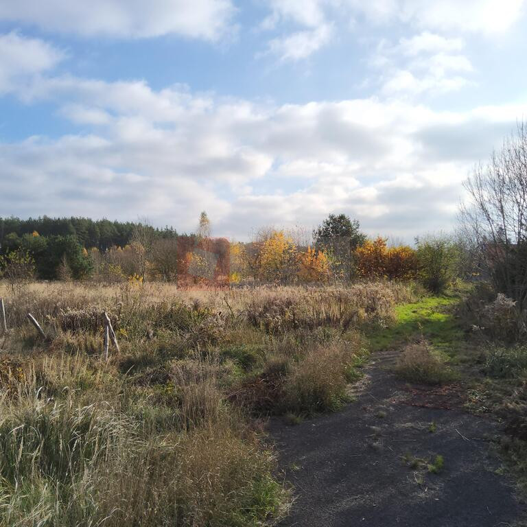 Działka Sprzedaż Szczecin Płonia