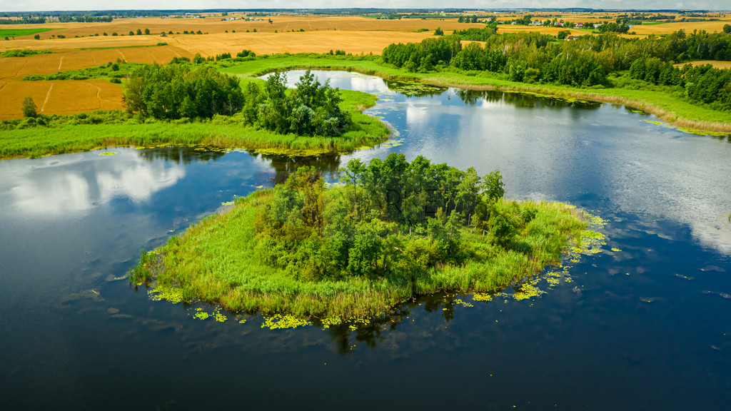 Działka Sprzedaż Buniewice