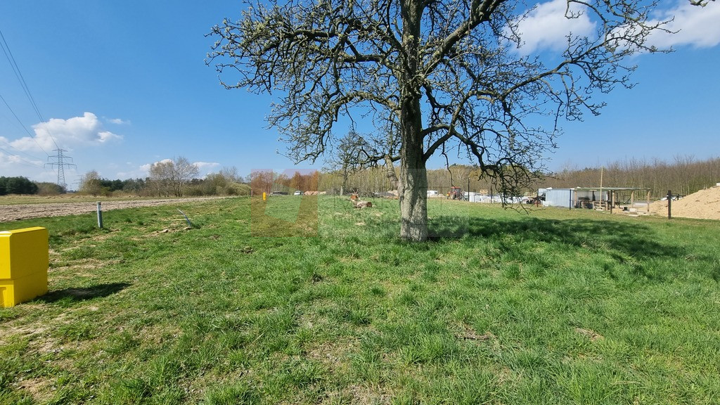 Działka Sprzedaż Szczecin Skolwin