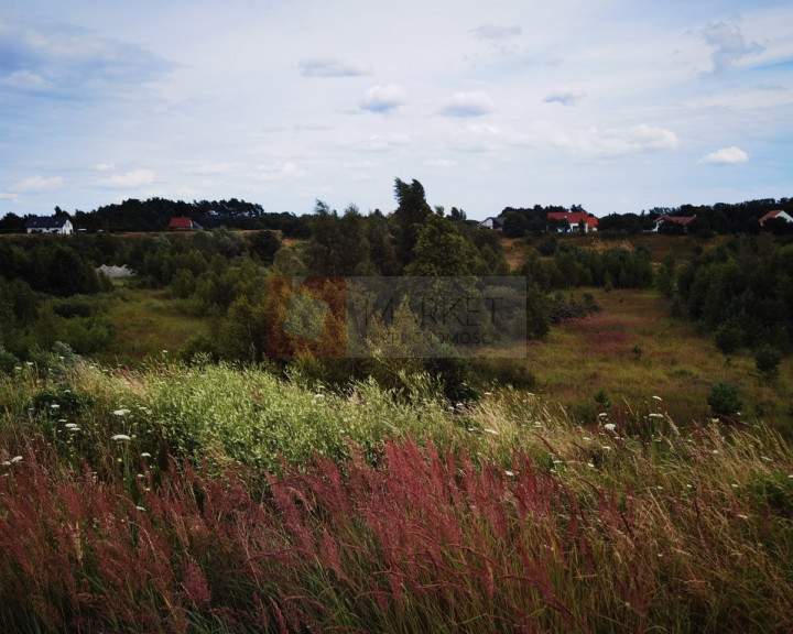 Działka Sprzedaż Kołczewo