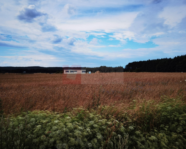 Działka Sprzedaż Kołczewo