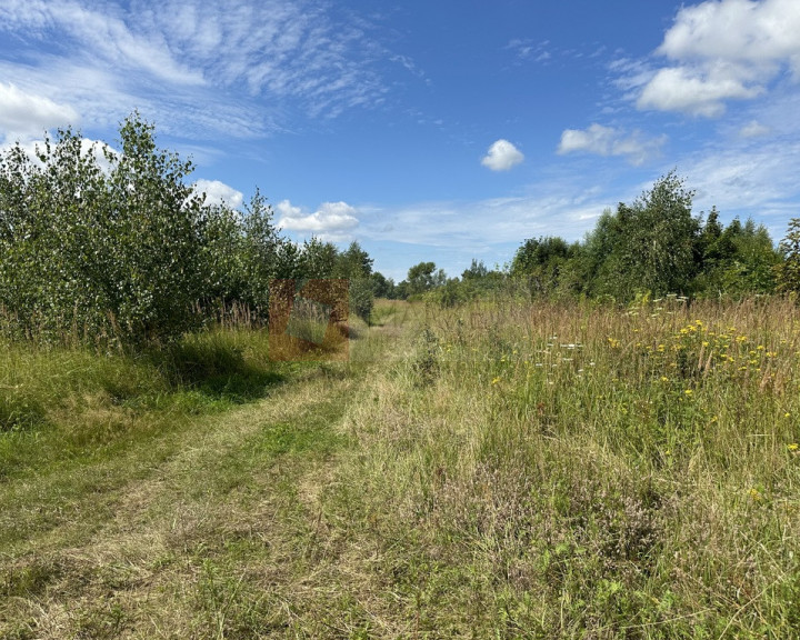 Działka Sprzedaż Trzebiatów