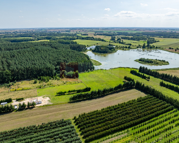 Działka Sprzedaż Binowo