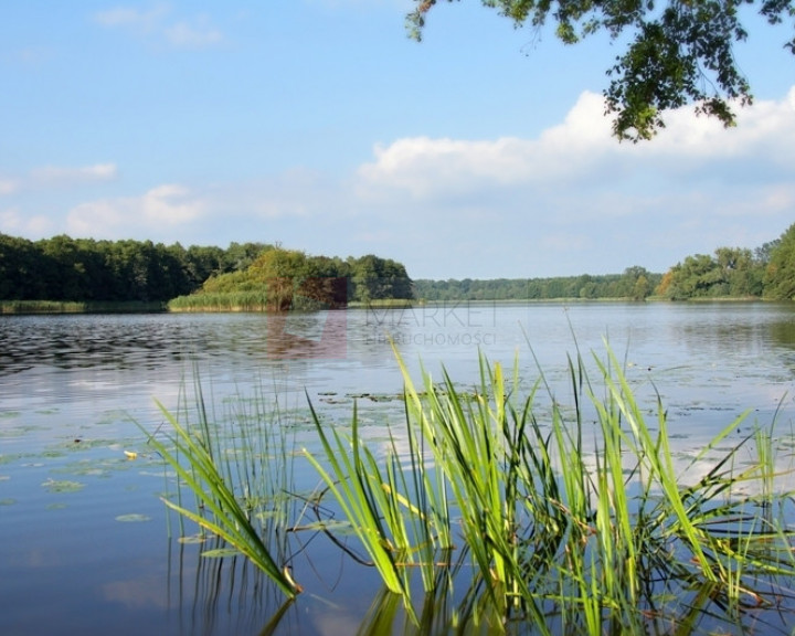 Działka Sprzedaż Warnice