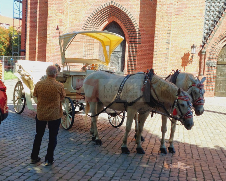 Mieszkanie Sprzedaż Szczecin Śródmieście-Centrum Grodzka