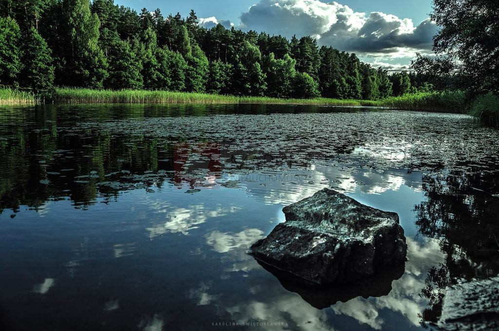 Działka Sprzedaż Byszyno