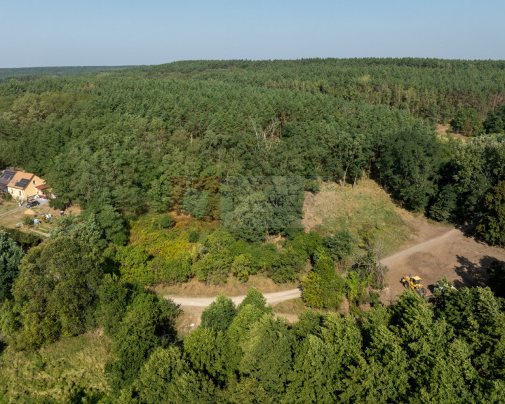 Działka Sprzedaż Stary Błeszyn