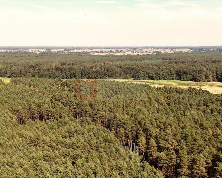 Działka Sprzedaż Strumiany