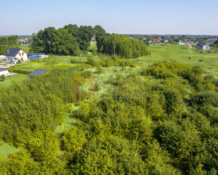 Działka Sprzedaż Kliniska Wielkie