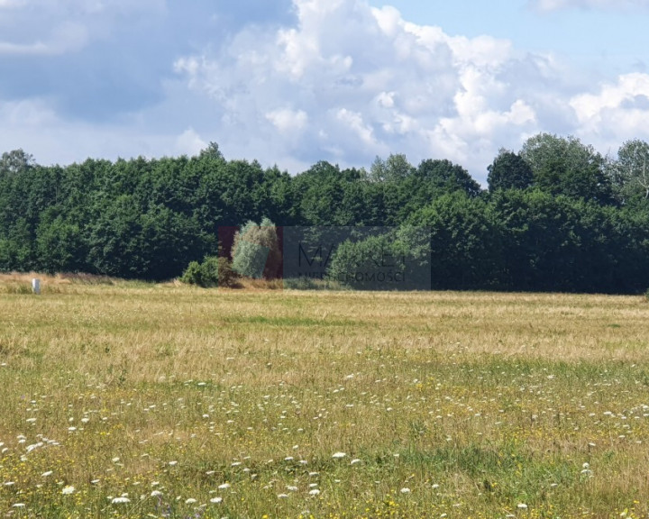 Działka Sprzedaż Dobropole Gryfińskie