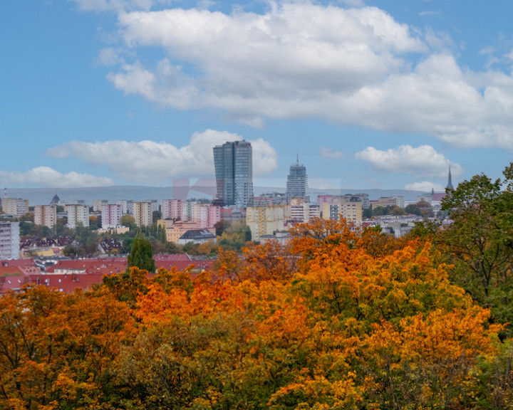 Mieszkanie Sprzedaż Szczecin Niebuszewo Łucznicza