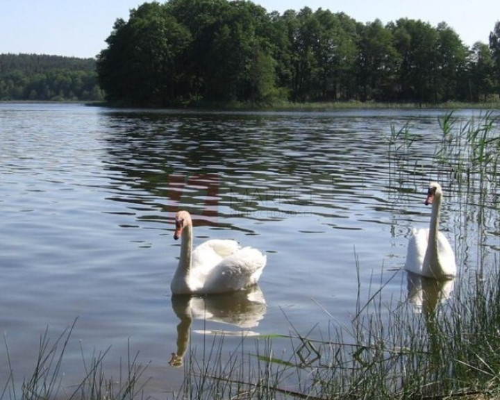 Działka Sprzedaż Zabierzewo