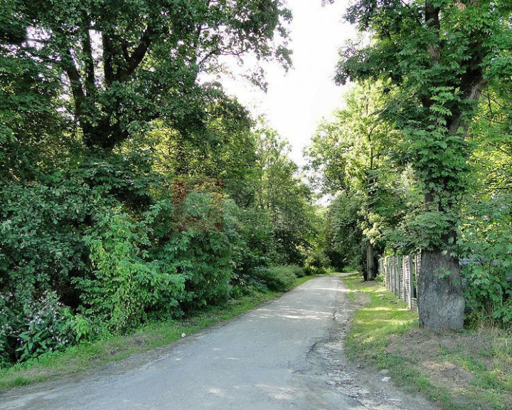 Działka Sprzedaż Kurów
