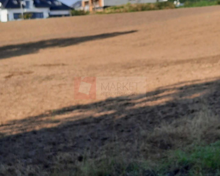 Działka Sprzedaż Kurów