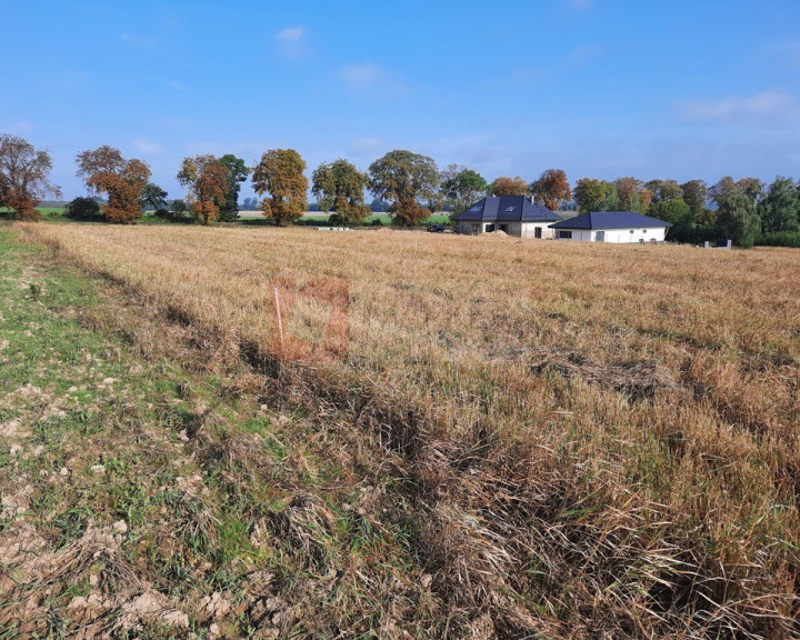 Działka Sprzedaż Kurów