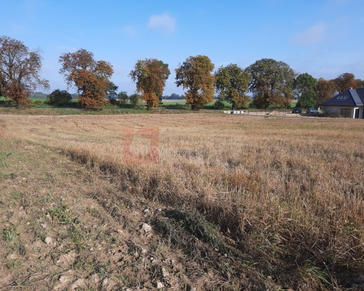 Działka Sprzedaż Kurów