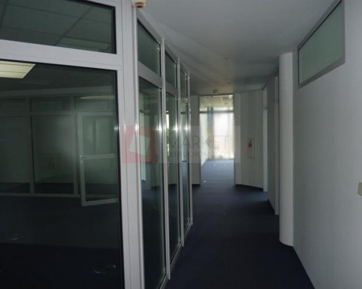 Lokal Wynajem Szczecin Centrum