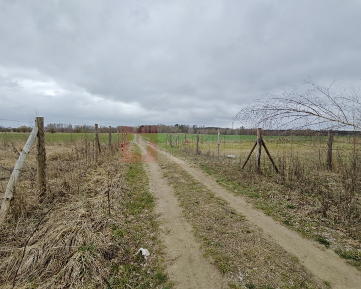 Działka Sprzedaż Wąwelnica