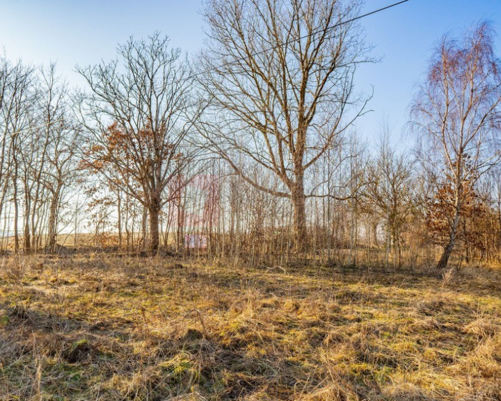 Działka Sprzedaż Ścienne