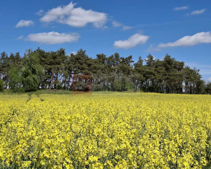 Działka Sprzedaż Parsów