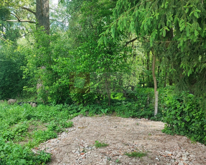 Działka Sprzedaż Żarowo
