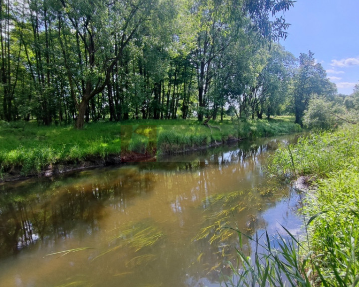 Działka Sprzedaż Żarowo