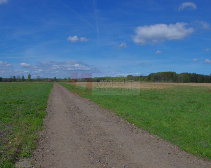 Działka Sprzedaż Niedźwiedź
