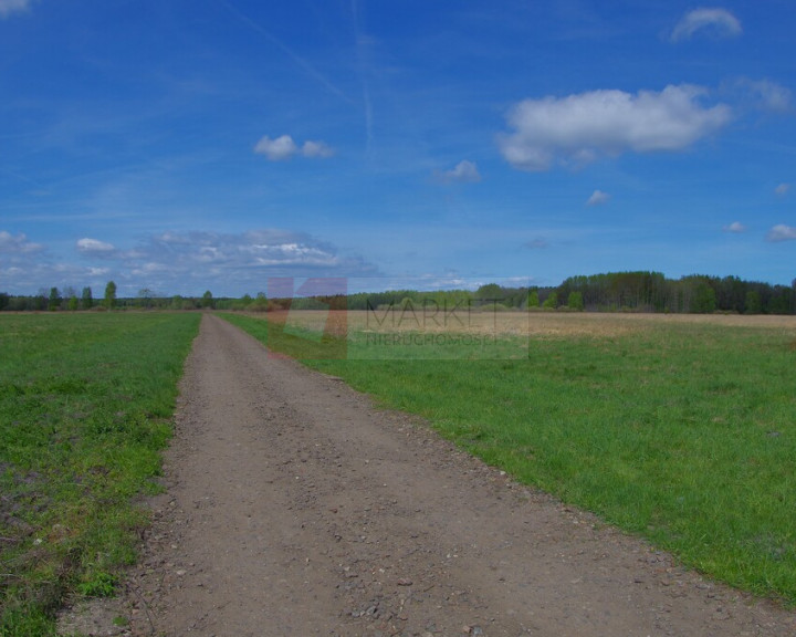 Działka Sprzedaż Niedźwiedź
