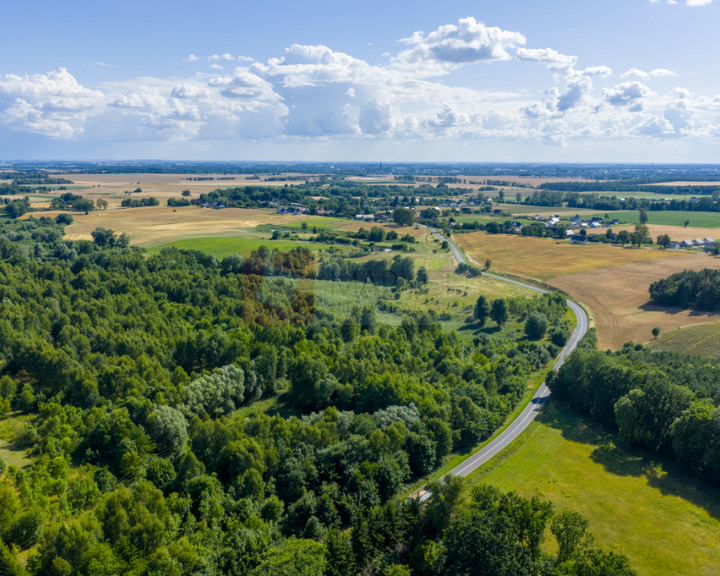 Działka Sprzedaż Grabowo