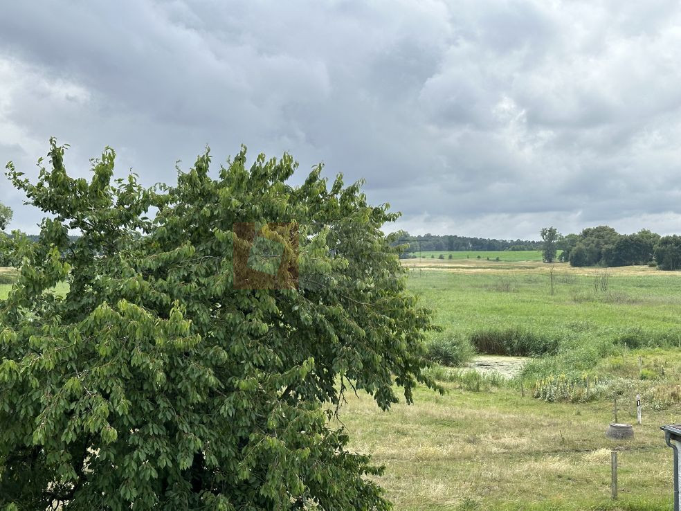 Dom Sprzedaż Bismarck 17321 Ramin, Vorpommern-Greifswald, Mecklenburg-Vorpommern Am Sportplatz