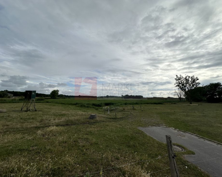 Dom Sprzedaż Bismarck 17321 Ramin, Vorpommern-Greifswald, Mecklenburg-Vorpommern Am Sportplatz