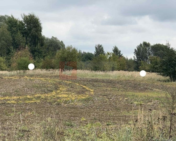 Działka Sprzedaż Stara Dąbrowa