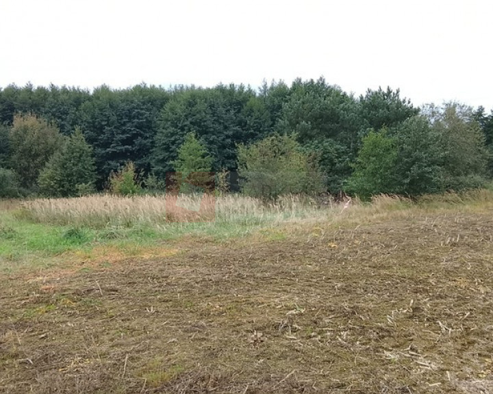 Działka Sprzedaż Stara Dąbrowa