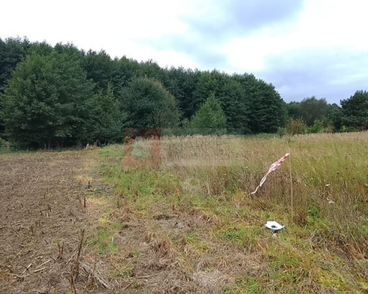 Działka Sprzedaż Stara Dąbrowa