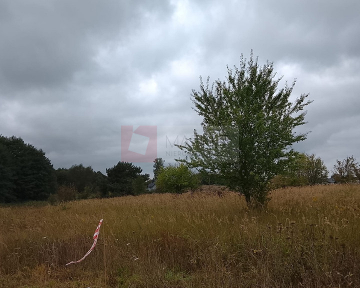Działka Sprzedaż Stara Dąbrowa