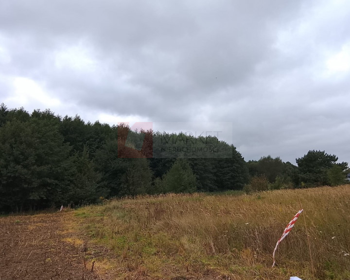 Działka Sprzedaż Stara Dąbrowa