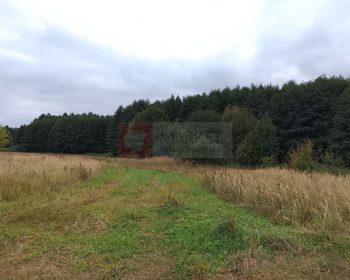Działka Sprzedaż Stara Dąbrowa