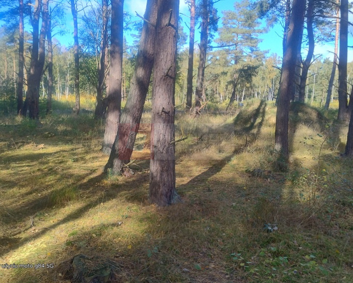 Działka Sprzedaż Dziwnów