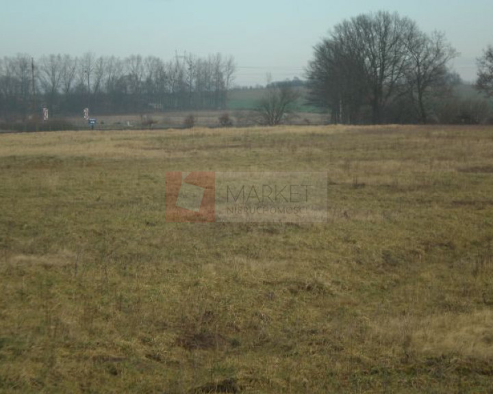 Działka Sprzedaż Brzozowo