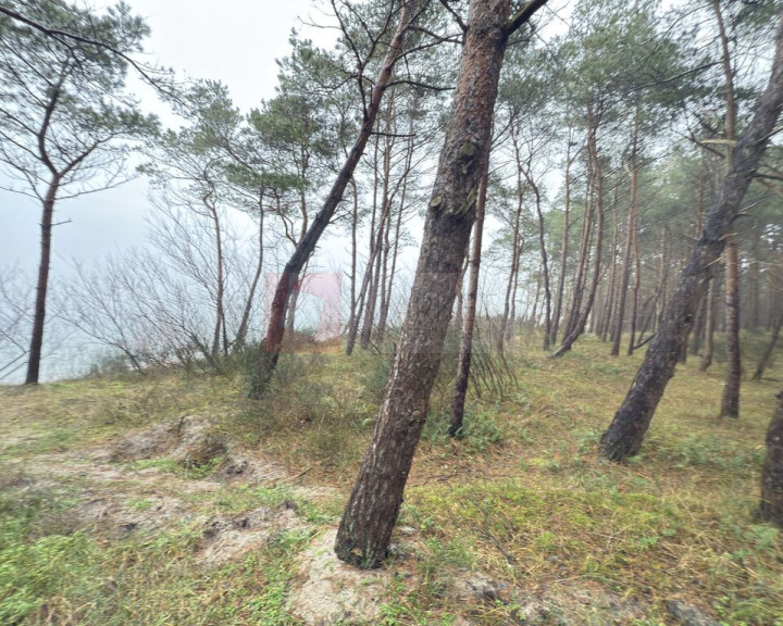 Mieszkanie Sprzedaż Międzywodzie Westerplatte