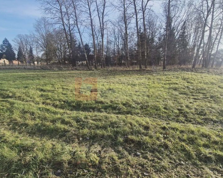 Działka Sprzedaż Tatynia