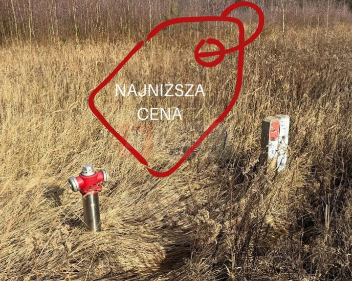 Działka Sprzedaż Żółwia Błoć