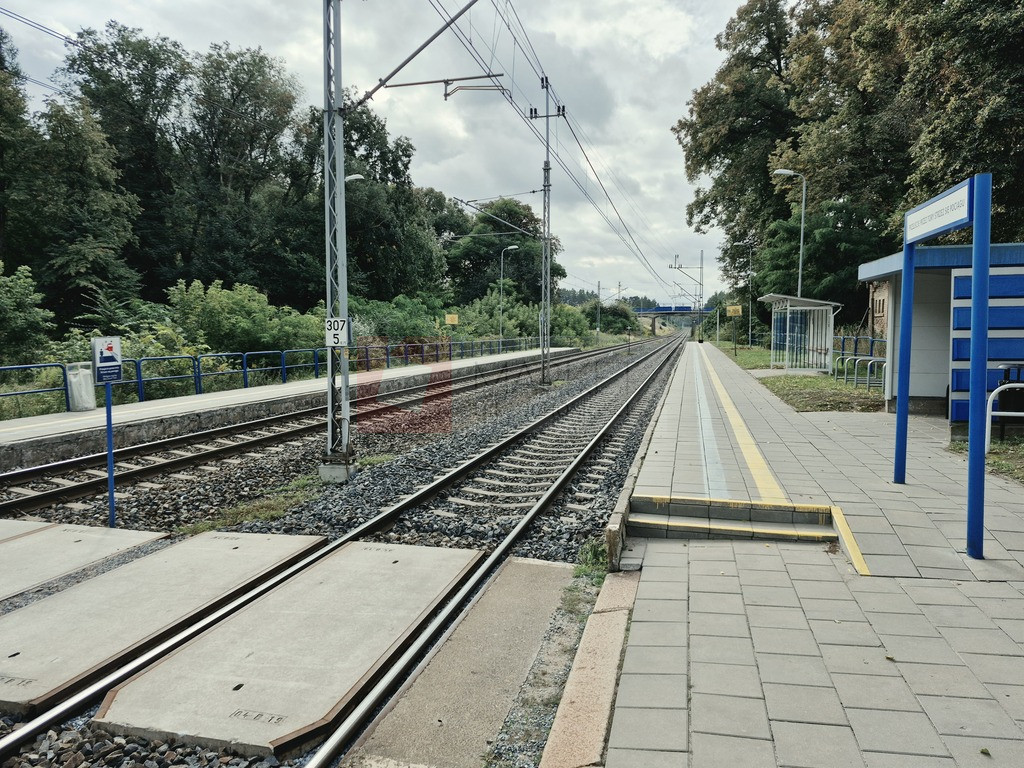 Dom Sprzedaż Lisie Pole