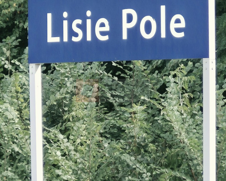 Dom Sprzedaż Lisie Pole